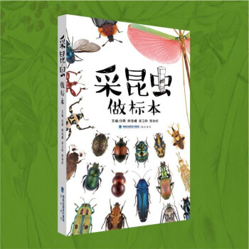 采昆蟲做標本 采昆蟲做標本