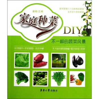 家庭種菜DIY不一樣的蔬菜風(fēng)景 家庭種菜DIY不一樣的蔬菜風(fēng)景