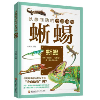 以靜制動的冷血動物蜥蜴家居圖書 以靜制動的冷血動物蜥蜴家居圖書