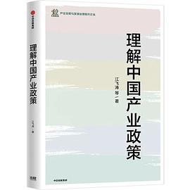 理解中國產業政策江飛濤等著圖書 理解中國產業政策江飛濤等著圖書