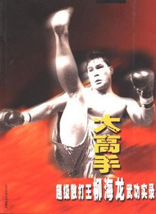 大高手超級散打王柳海龍武功實錄 大高手超級散打王柳海龍武功實錄