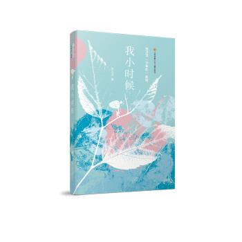 孫衛(wèi)衛(wèi)少年心系列我小時候 孫衛(wèi)衛(wèi)少年心系列我小時候