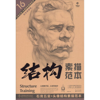 石膏五官+頭像結構素描范本
