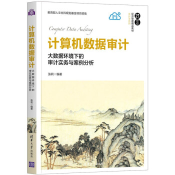 計算機數據審計/會計學系列