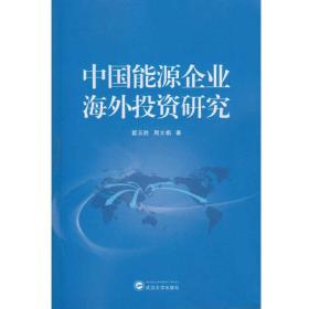 中國能源企業(yè)海外投資研究