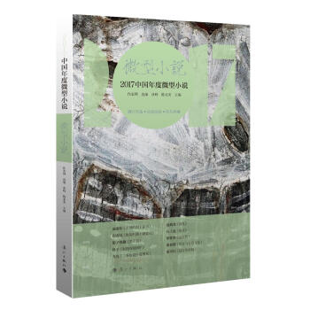 2017中國(guó)年度微型小說(shuō)