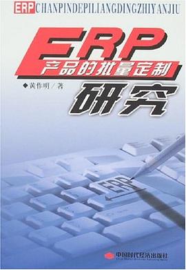 ERP產品的批量定制研究 ERP產品的批量定制研究