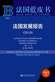 法國發(fā)展報告/法國藍皮書 法國發(fā)展報告/法國藍皮書