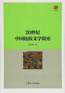 20世紀(jì)中國比較文學(xué)簡史 20世紀(jì)中國比較文學(xué)簡史
