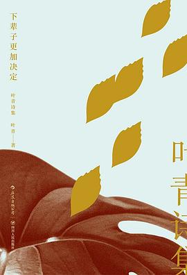 下輩子更加決定葉青詩集 下輩子更加決定葉青詩集