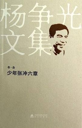 少年張沖六章楊爭光作