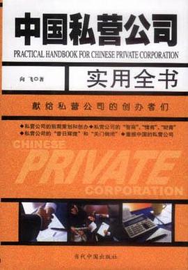 中國私營公司實用全書向飛 中國私營公司實用全書向飛