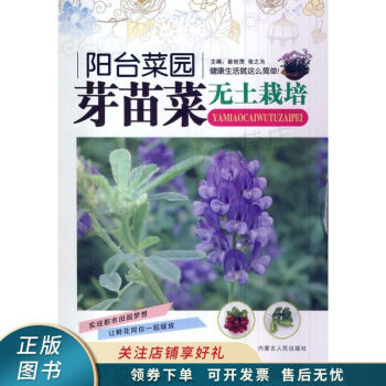 陽臺菜園芽苗菜無土栽培