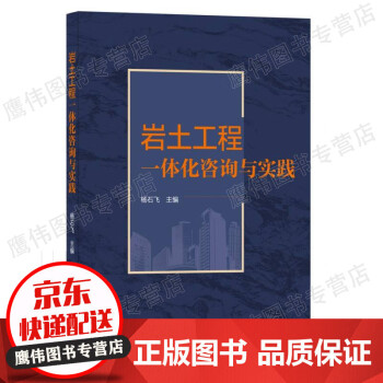巖土工程一體化咨詢與實踐 巖土工程一體化咨詢與實踐