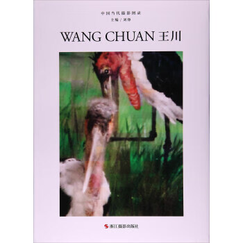 王川-中國當代攝影圖錄