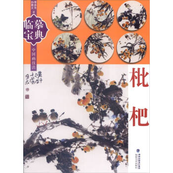 臨摹寶典中國畫技法枇杷 臨摹寶典中國畫技法枇杷