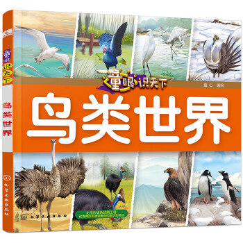 童眼識天下——鳥類世界 童眼識天下——鳥類世界