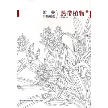 熱帶植物/唯美白描精選 熱帶植物/唯美白描精選