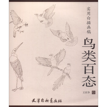實用白描畫稿鳥類百態