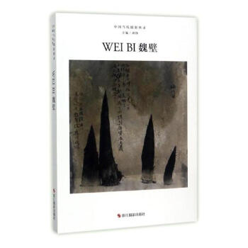 中國當代攝影圖錄-魏壁 中國當代攝影圖錄-魏壁
