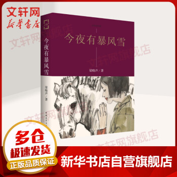 今夜有暴風雪梁曉聲作品