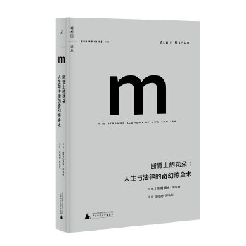 漫漫自由路曼德拉自傳 漫漫自由路曼德拉自傳
