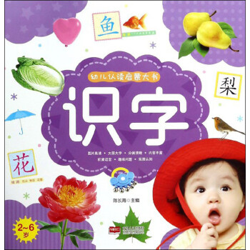 幼兒認讀啟蒙大書-識字 幼兒認讀啟蒙大書-識字