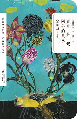 青春是一場(chǎng)陰郁的風(fēng)暴 青春是一場(chǎng)陰郁的風(fēng)暴