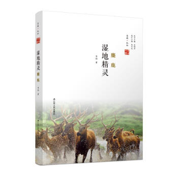 濕地精靈麋鹿鹽城地標 濕地精靈麋鹿鹽城地標