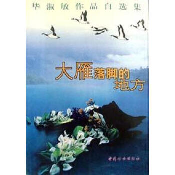大雁落腳的地方畢淑敏 大雁落腳的地方畢淑敏