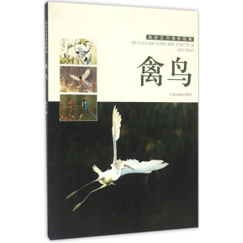 畫(huà)家實(shí)用攝影圖集禽鳥(niǎo) 畫(huà)家實(shí)用攝影圖集禽鳥(niǎo)
