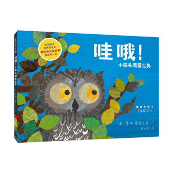 哇哦！小貓頭鷹看世界