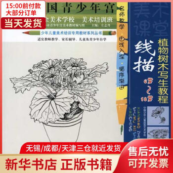 線描植物樹木寫生教程 線描植物樹木寫生教程