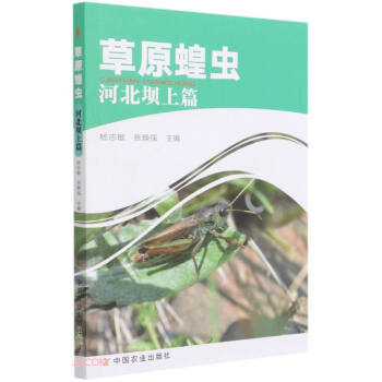 草原蝗蟲:河北壩上篇 草原蝗蟲:河北壩上篇