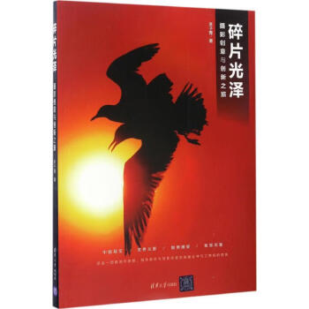 碎片光澤李子青書籍 碎片光澤李子青書籍
