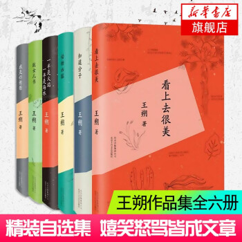 王朔:看上去很美 王朔:看上去很美