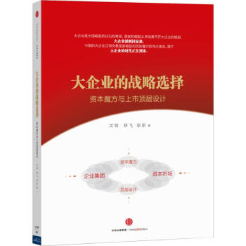 大企業的戰略選擇 大企業的戰略選擇