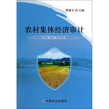 農(nóng)村集體經(jīng)濟(jì)審計 農(nóng)村集體經(jīng)濟(jì)審計