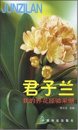 君子蘭 君子蘭