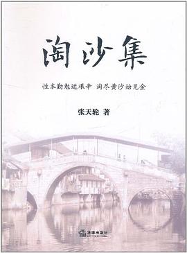 淘沙集 淘沙集