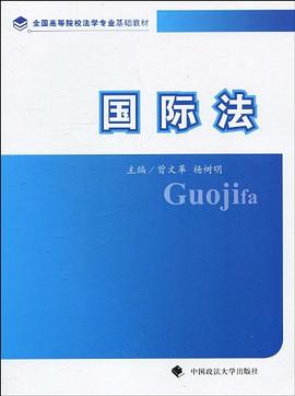 國際法 國際法
