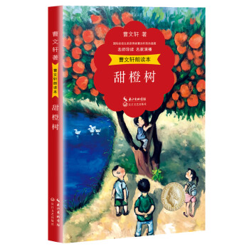 甜橙樹 甜橙樹