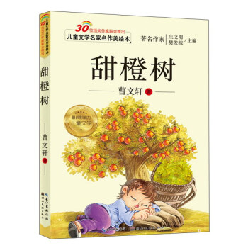 甜橙樹 甜橙樹