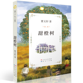 甜橙樹 甜橙樹