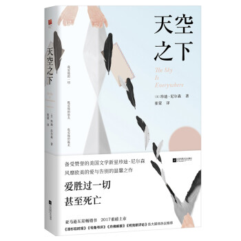 天空之下 天空之下
