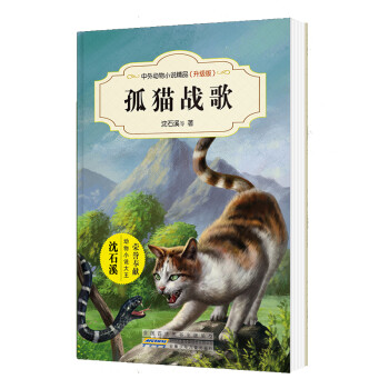 孤貓戰歌 孤貓戰歌