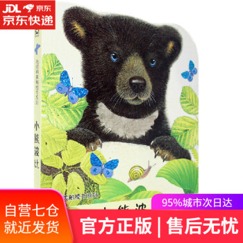 小熊波比 小熊波比