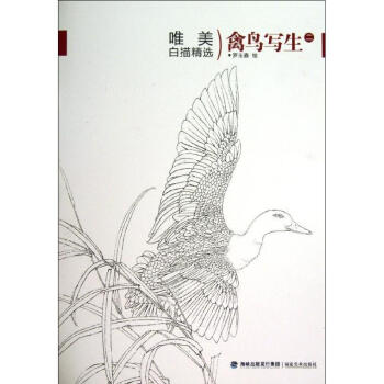 禽鳥寫生 禽鳥寫生