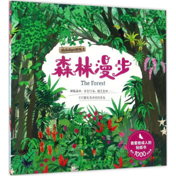 森林漫步 森林漫步