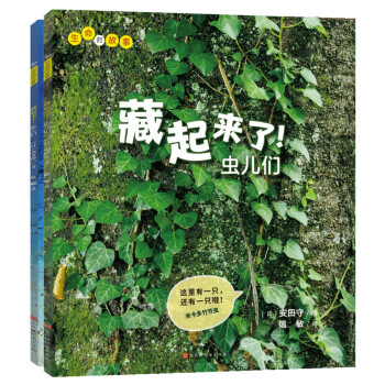 藏起來了